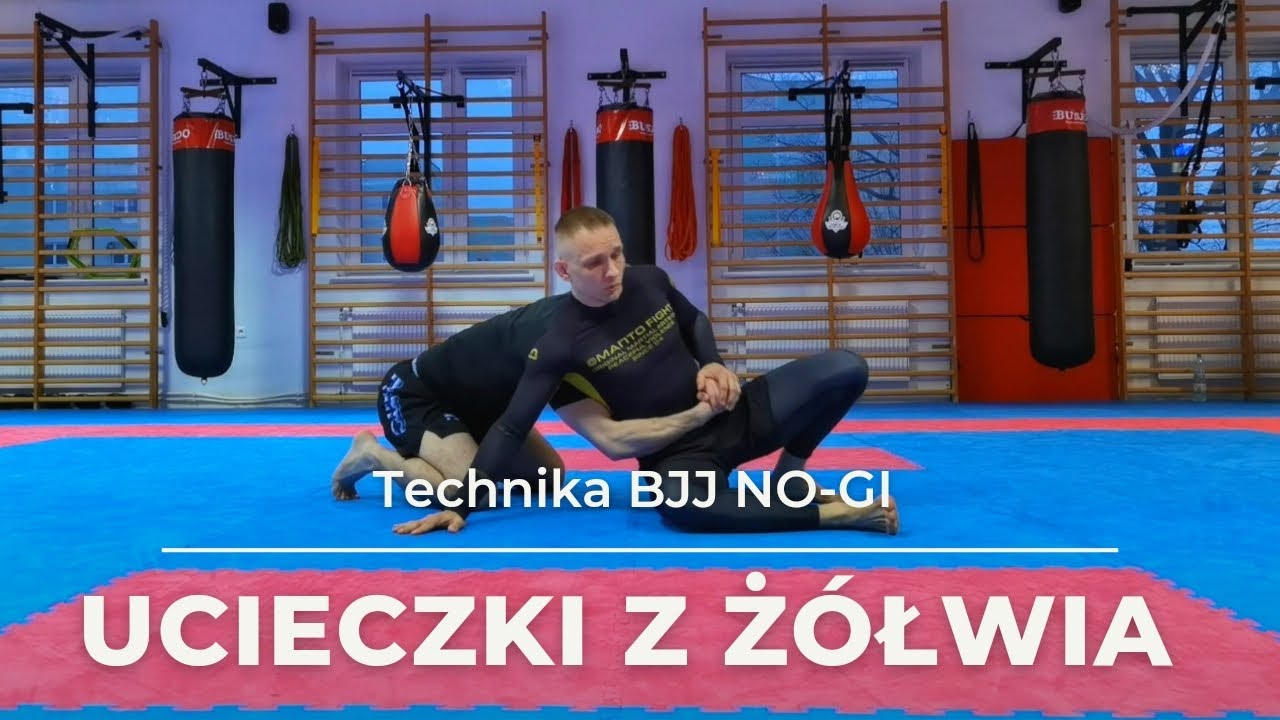 Ucieczki z żółwia | Technika BJJ NO-GI