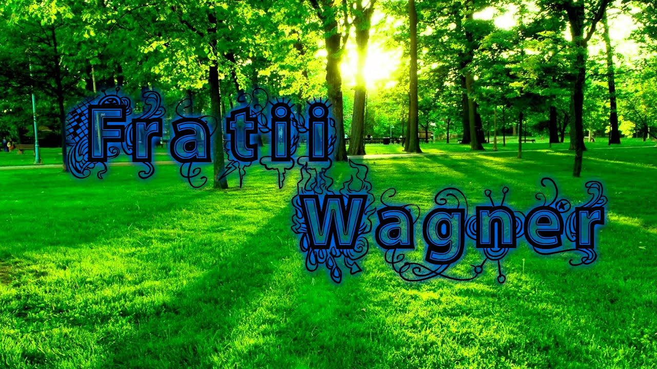 Fratii Wagner -  Raspunde-mi cand strig