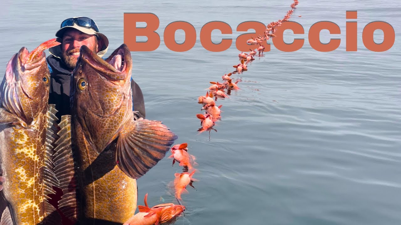 &lsquo;Bocaccio&rsquo;- Commercial Rockcod Fishing Central California