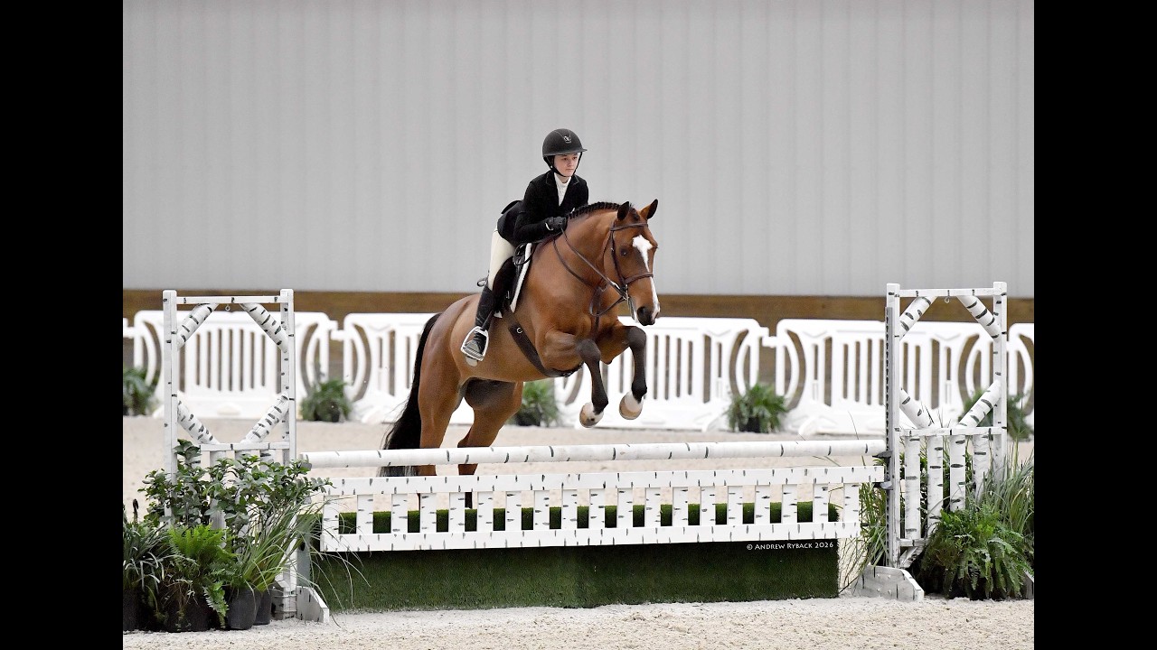 Jumanji St Martin • Children's Equitation