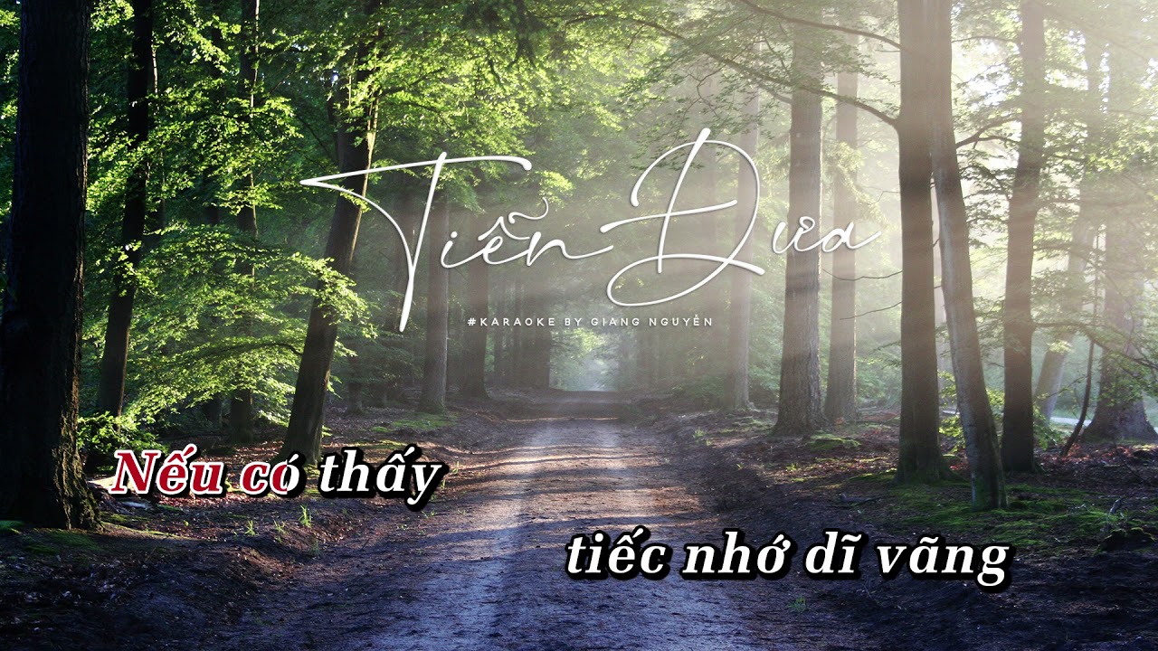 Tiễn Đưa | Lâm Vũ | Karaoke Tone Nam