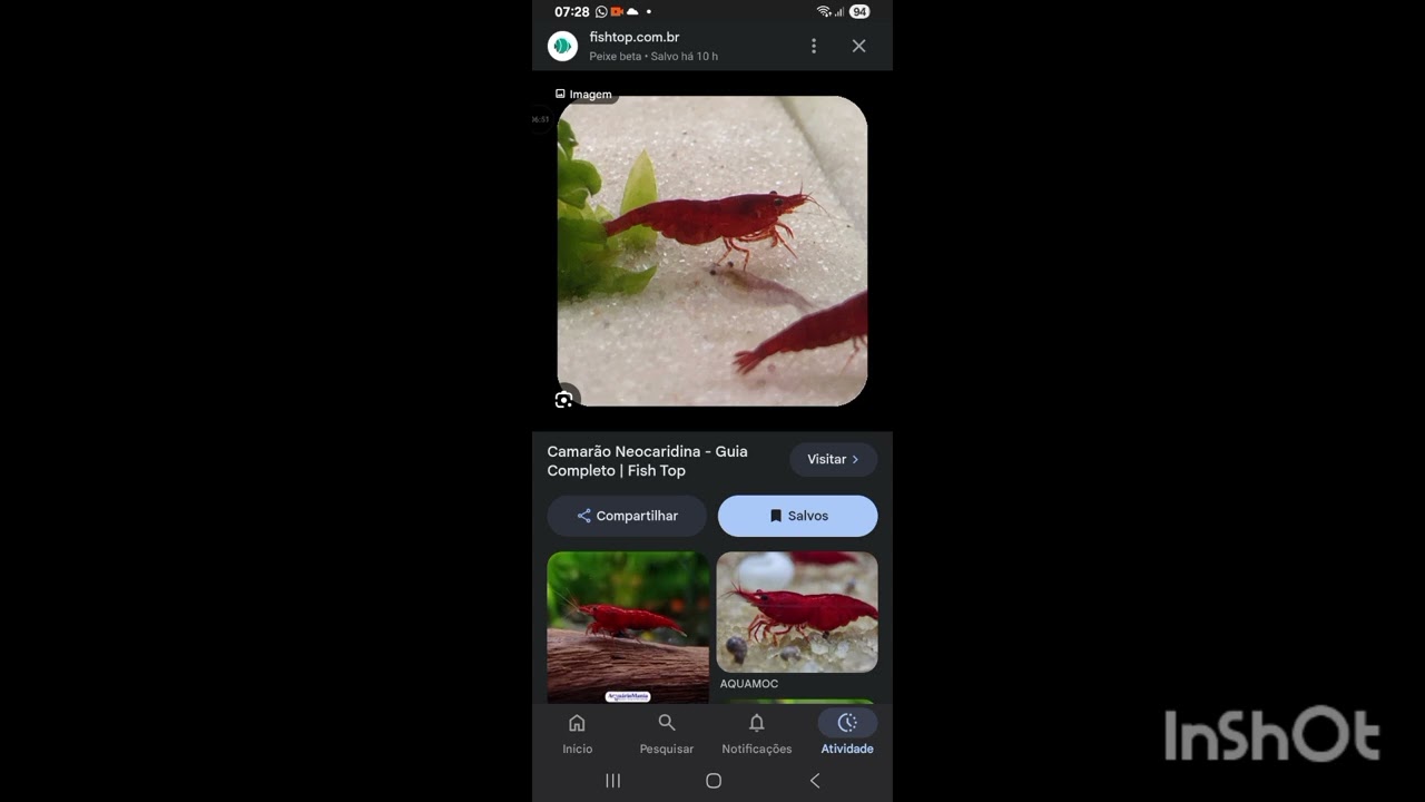 Tudo sobre beta