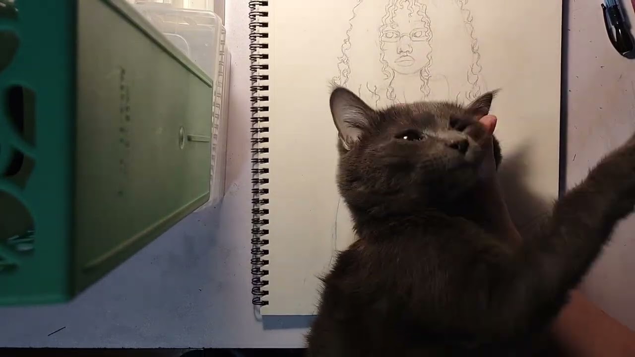 Sped Up Pinterist Red Portrait Timelapse