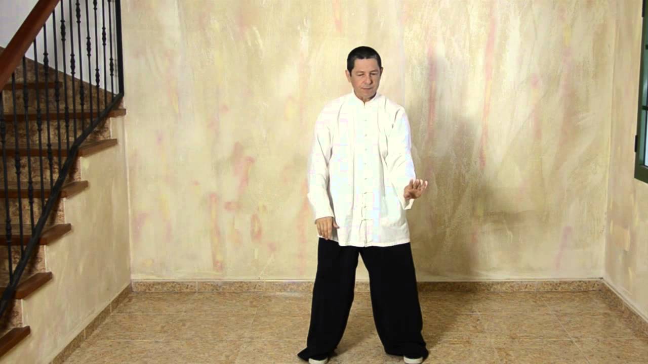Introducción al Tai Chi Chuan Estilo Yang - Movimiento Inicial -  Por Jorge Beltrán