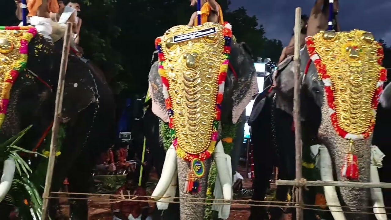 E FOR ELEPHANTS