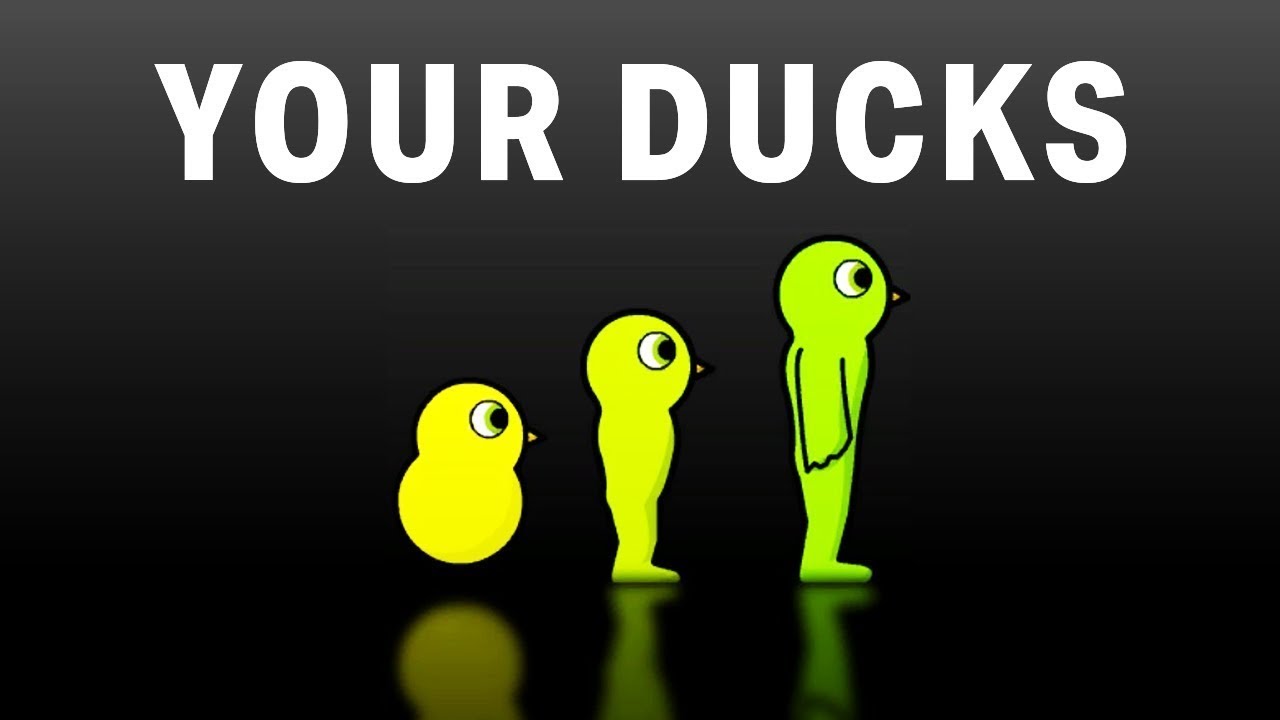 I Created The Ultimate Duck Out Of Pure Laziness