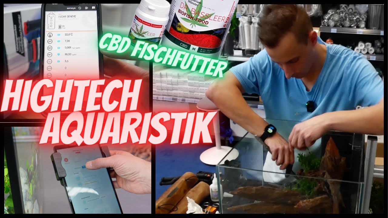 Fische, HighTech, Neuheiten & Live Aquarium Einrichten | Fisch & Reptil 2023