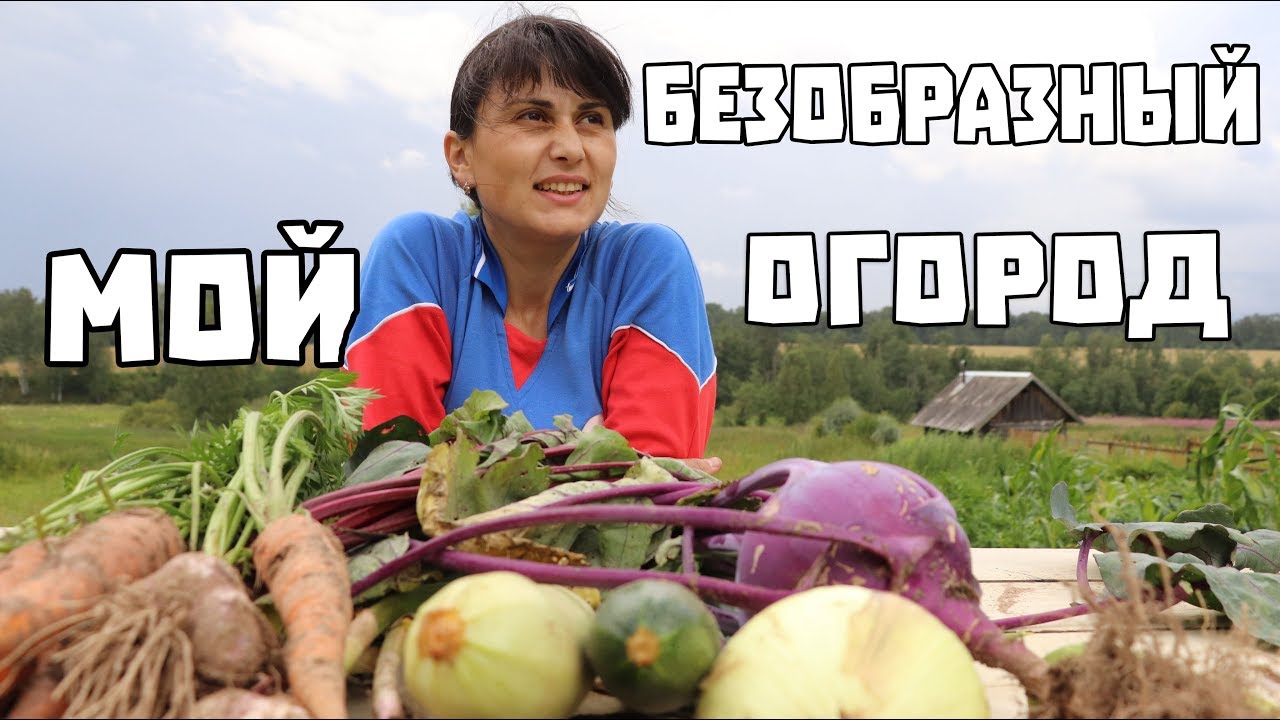 ОГОРОД МОЙ БЕЗОБРАЗНЫЙ 2019