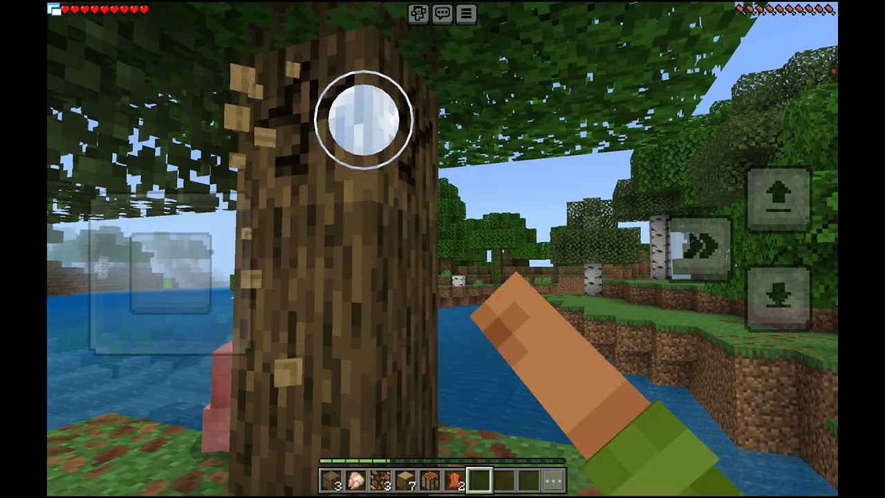 Minecraft.