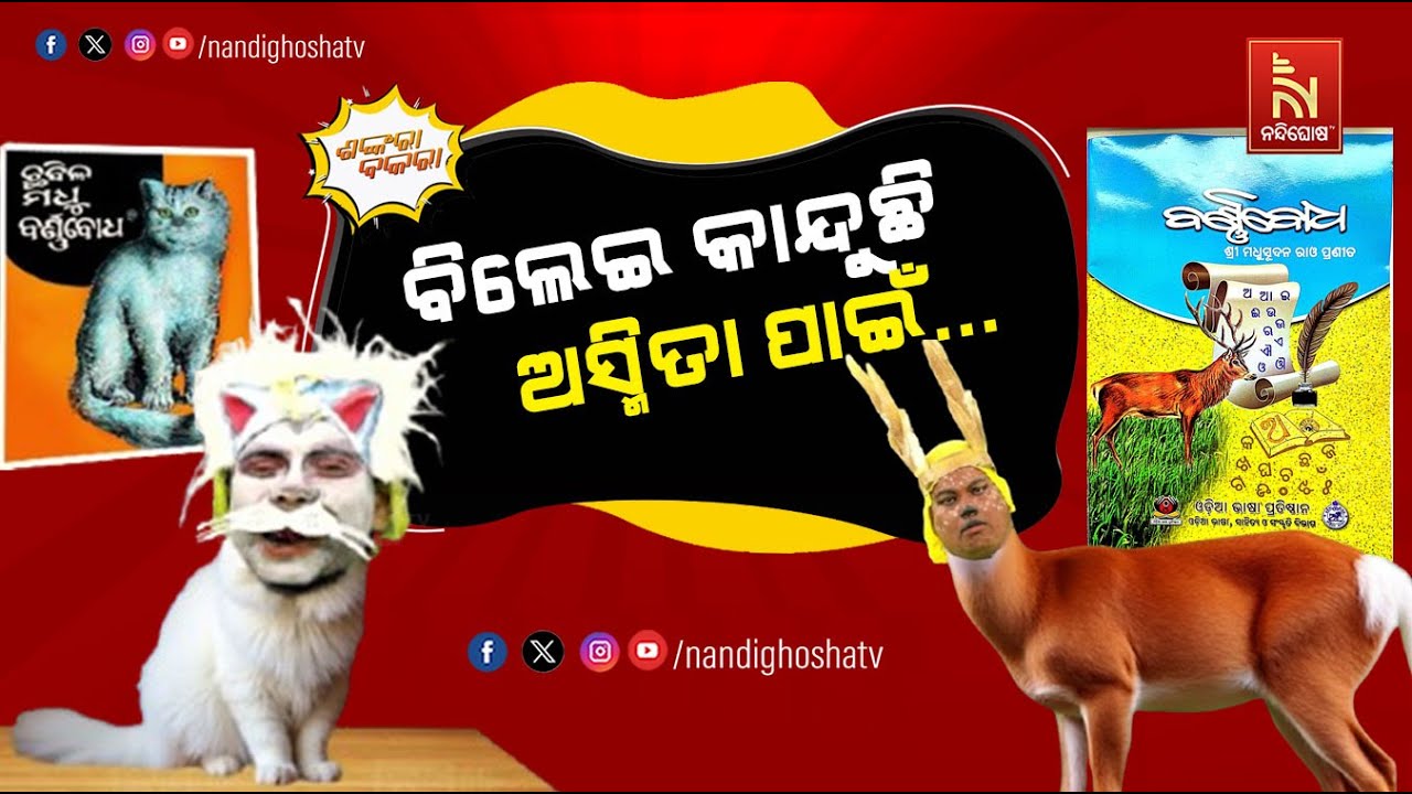 ଛିଃ ଛିଃରେ ମଣିଷ..ହରିଣ ପାଇ ବିଲେଇକୁ ଭୁଲିଗଲ..| Chhabila Madhu Barnabodha | Odia Comedy | Shankara Bakara