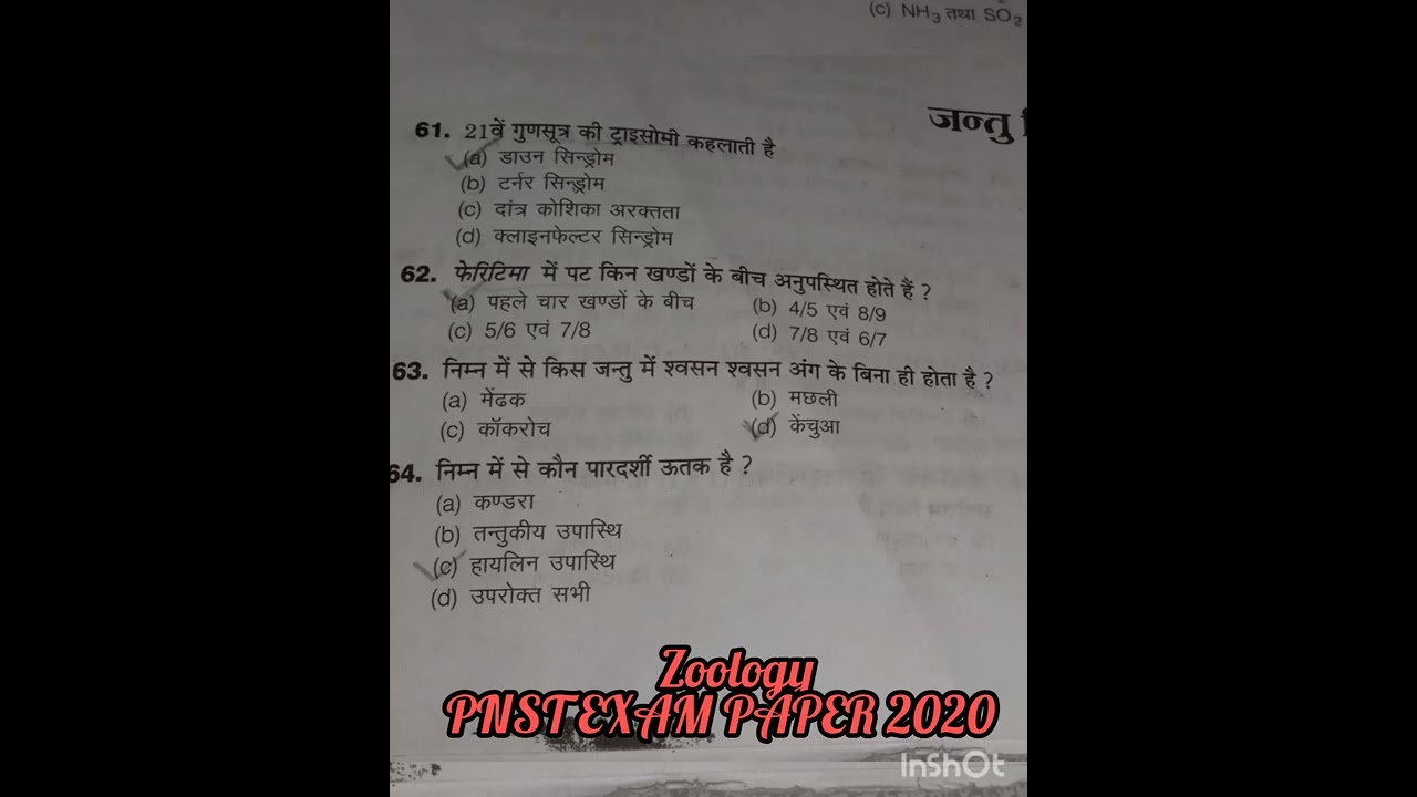 PNST EXAM paper solution 2020...