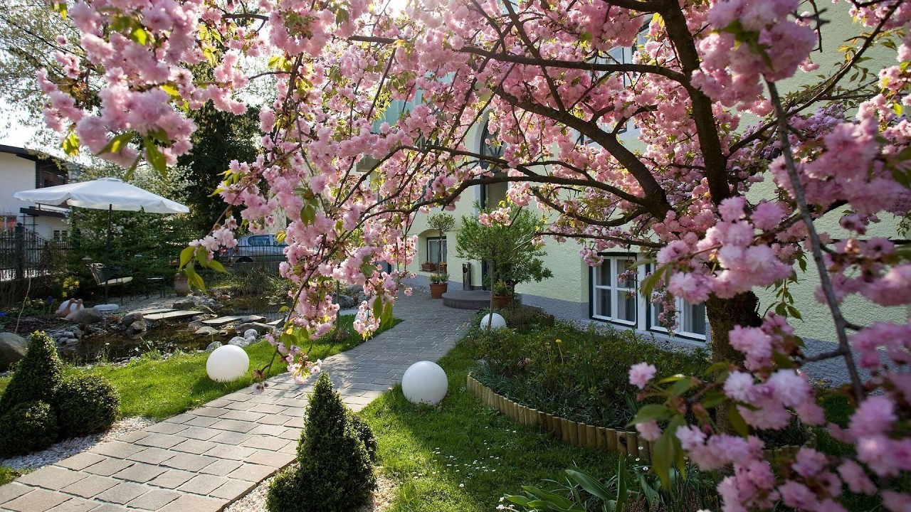 Hotel Rosenvilla, Salzburg, Austria | Travel With Siya