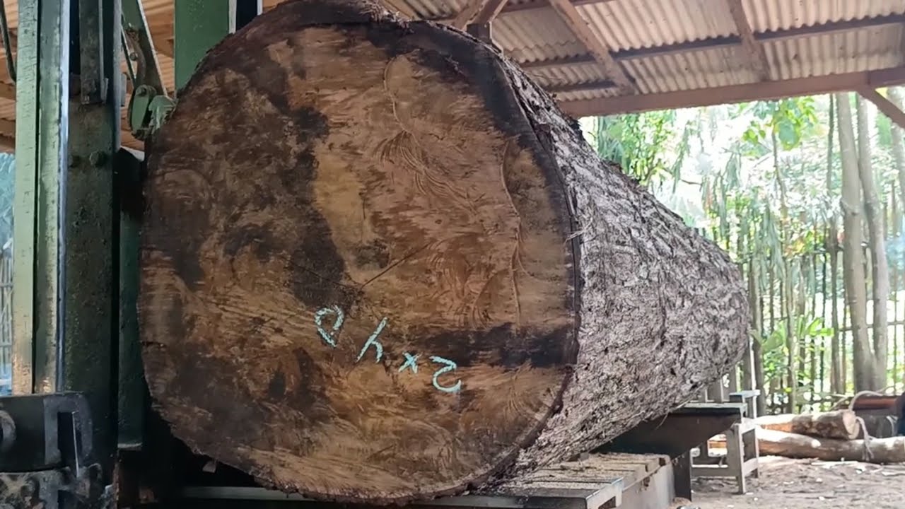 The process of turning wood into 2cm wide sheets