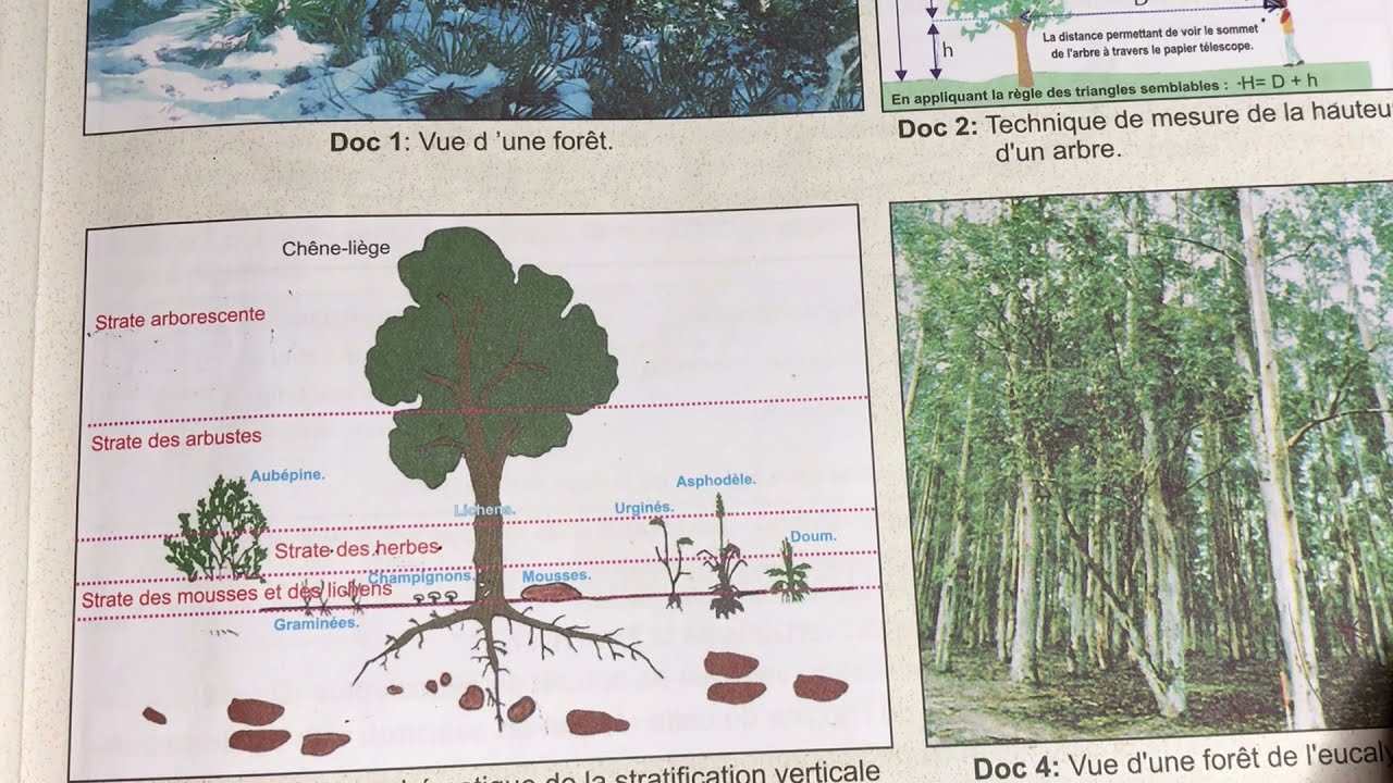 SVT Tronc commun. La sortie ecologique. Partie 1