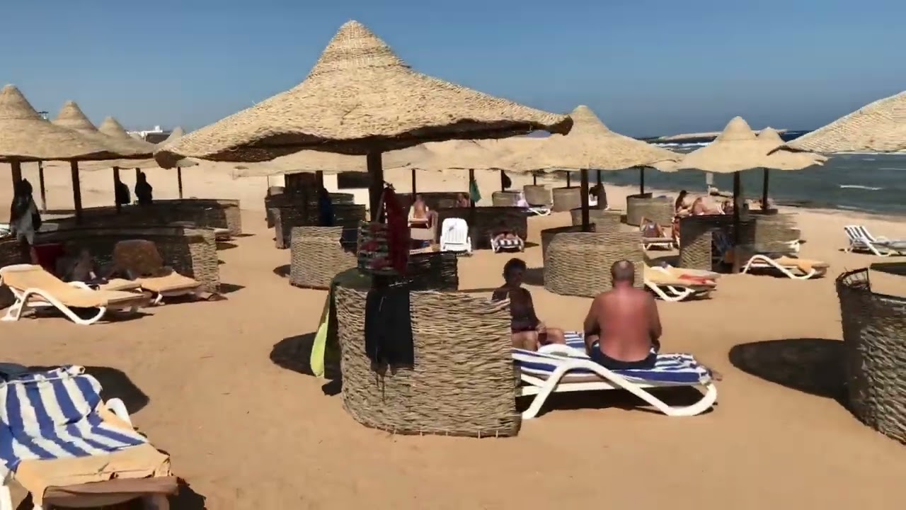 Viva Blue Resort & Diving 11.11.2022