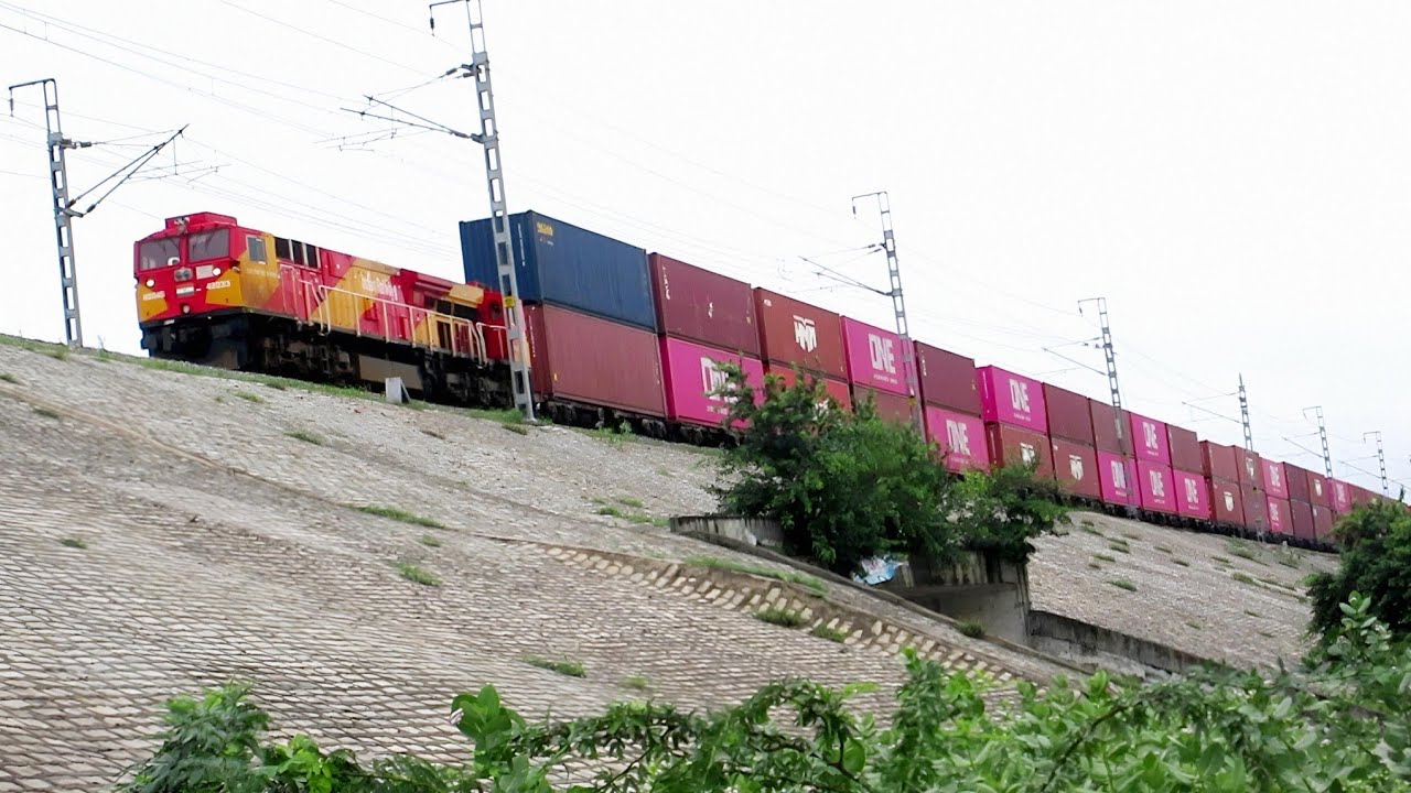 MEGA TRAINS! Double Stack Container Trains & Many More | WDFC + EDFC & Main Line | Indian Railways