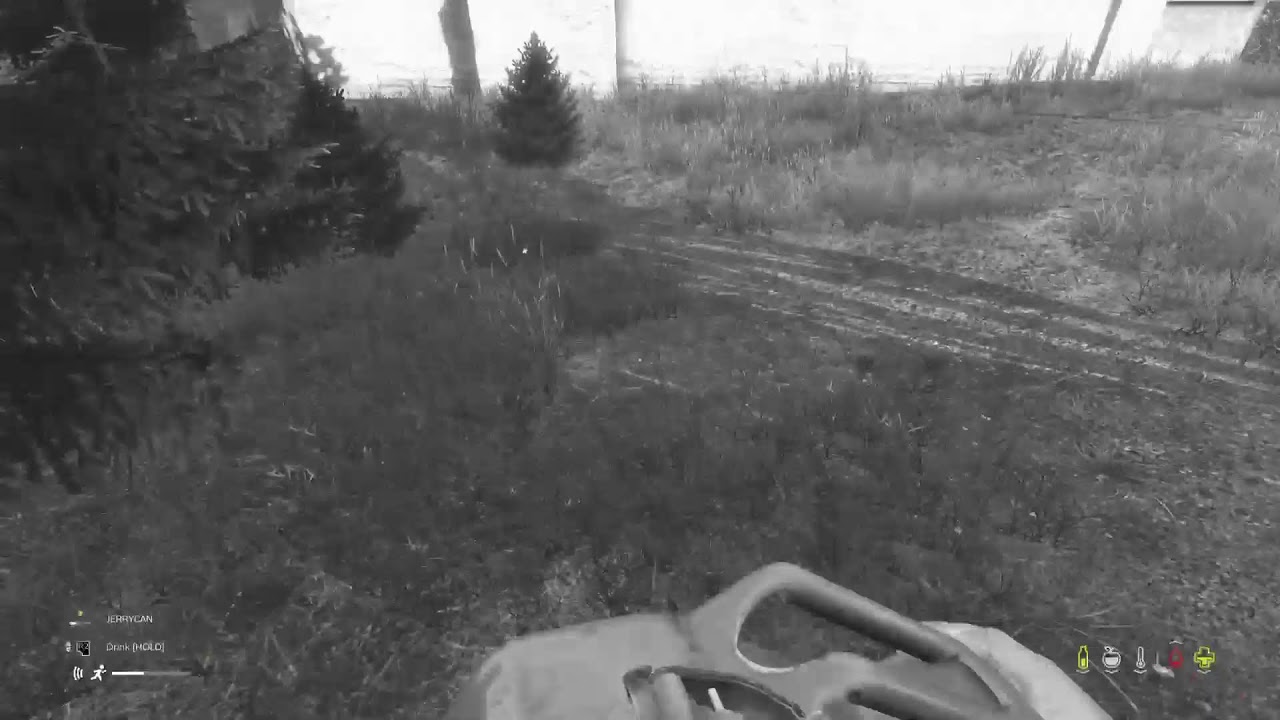 DayZ Chernarus live stream 8
