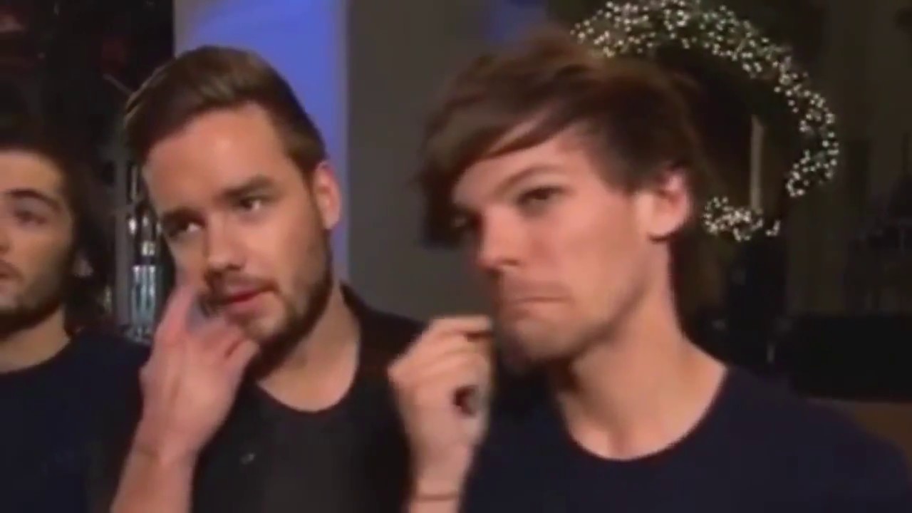 Louis Tomlinson and Liam Payne funny moments