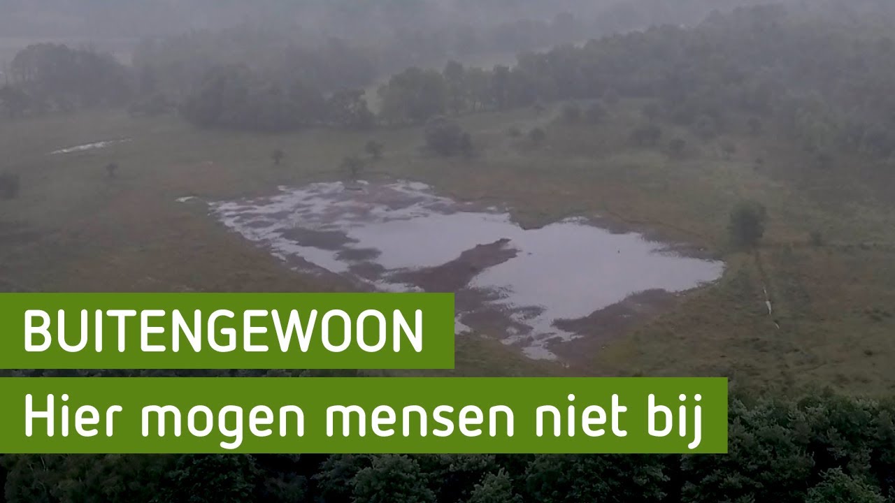 Het verbande bos van Staverden | BuitenGewoon