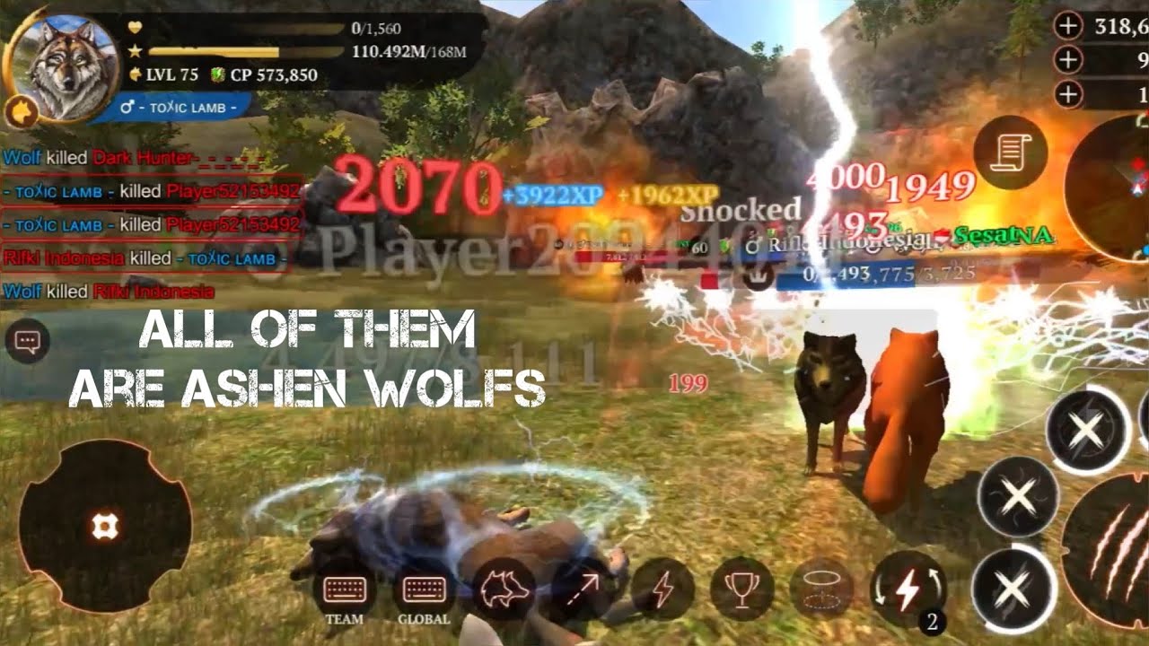 The Wolf - Norwegian Wolf vs Ashen Wolfs | toxiclamb