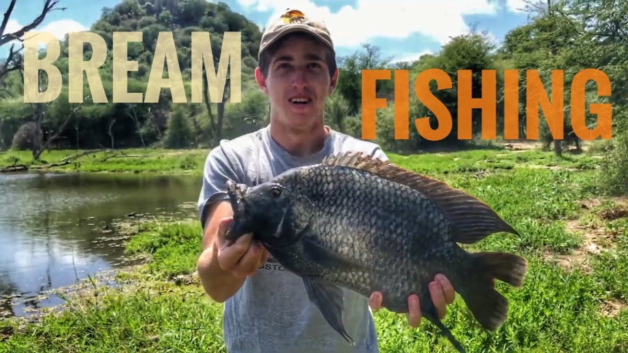 Epic morning of Giant Bream(Tilapia/Kurper)fishing