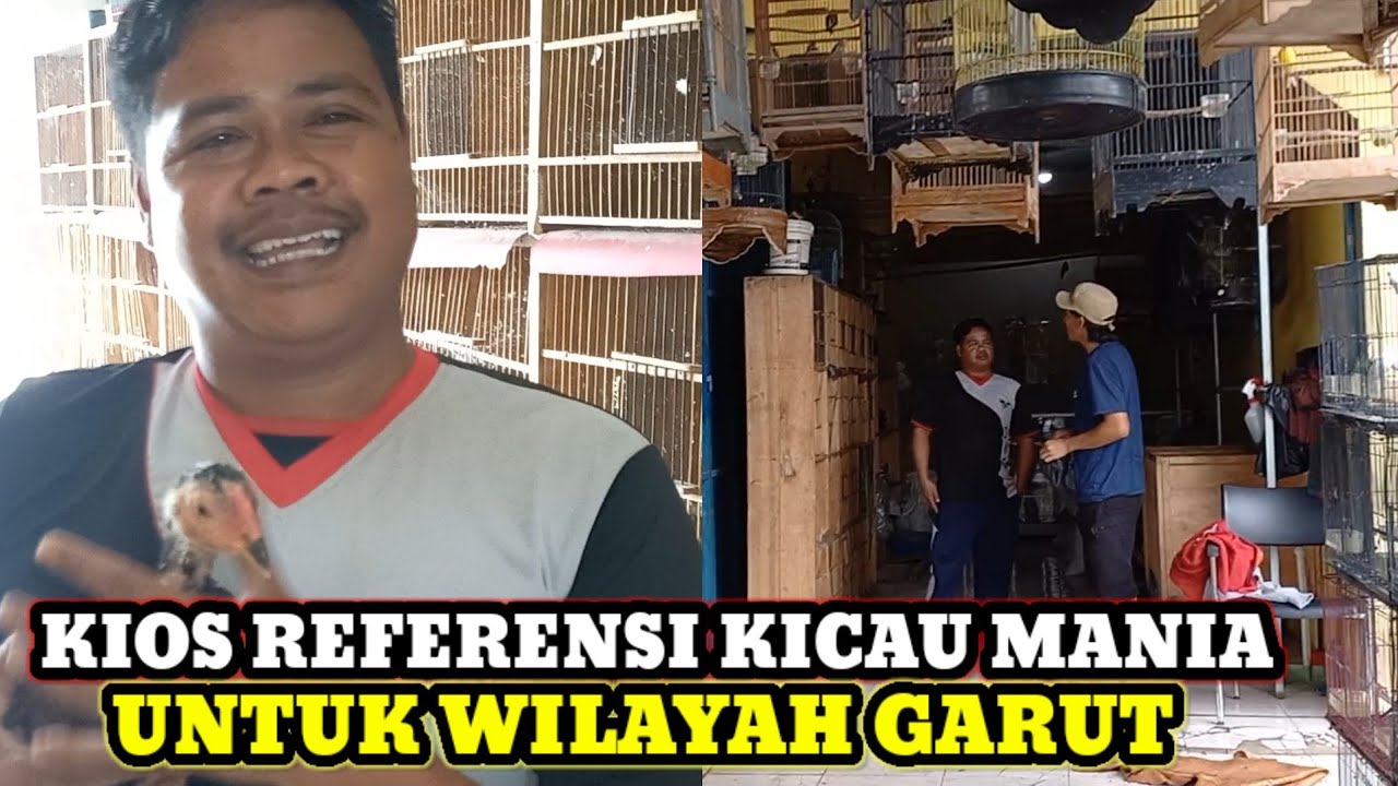CEK HARGA BURUNG TERBARU DIKIOS DENI KIOS BURUNG REFERENSI PARA KICAU MANIA WILAYAH GARUT