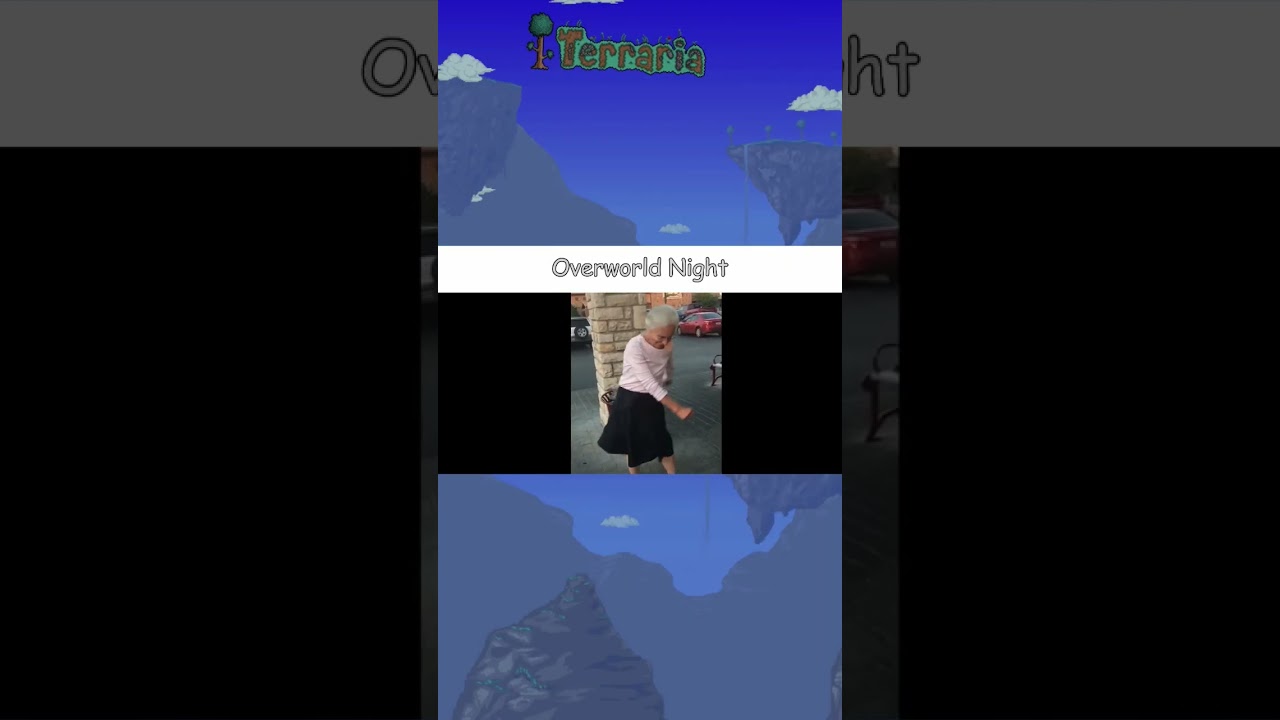 Terraria Overworld Night be like #terraria #meme #shorts