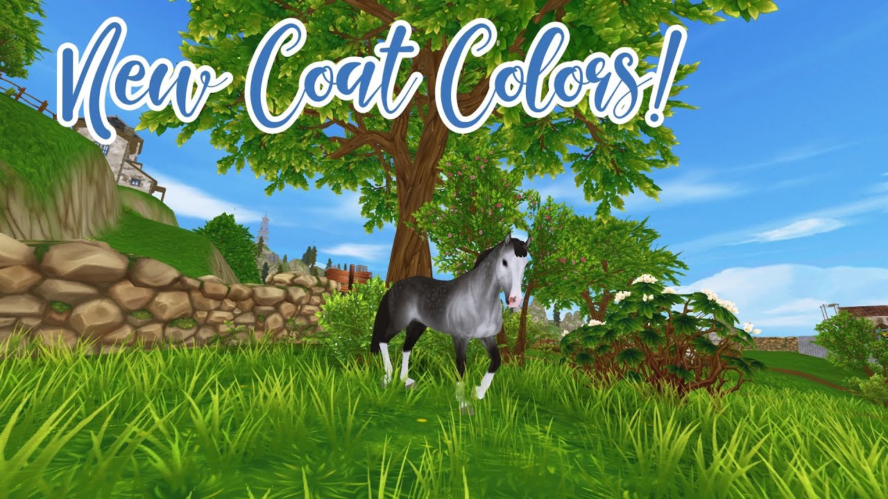 New Coat Colors!
