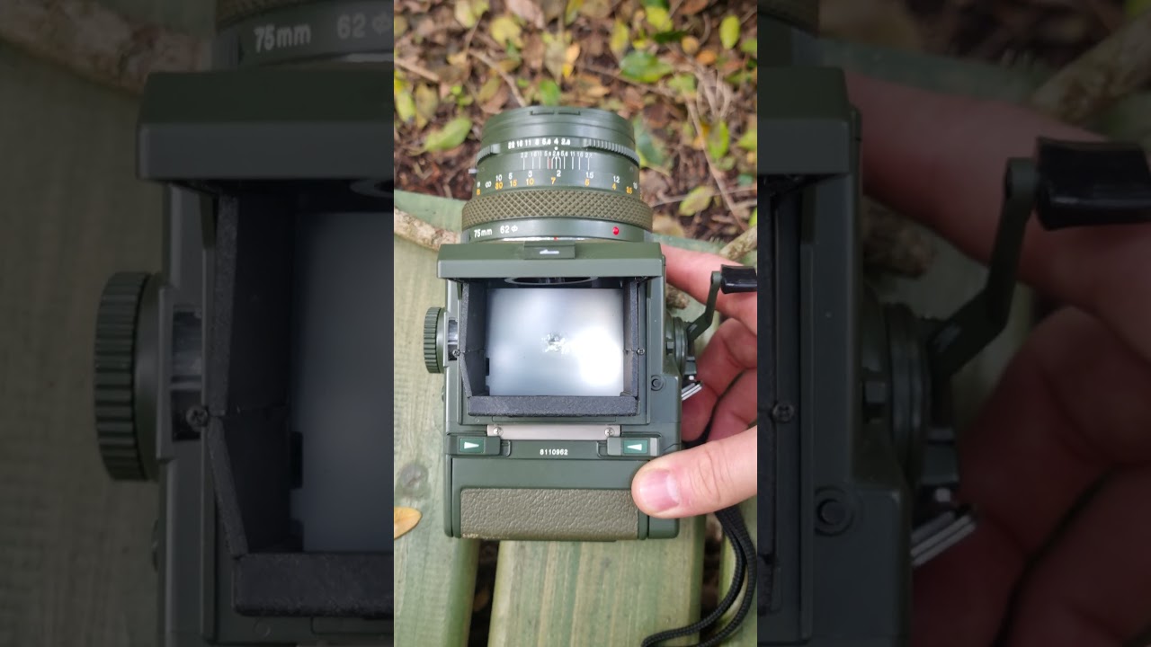 Zenza Bronica in the Bushes #photography #120film #filmphotography #camera #viewfinder #film #120