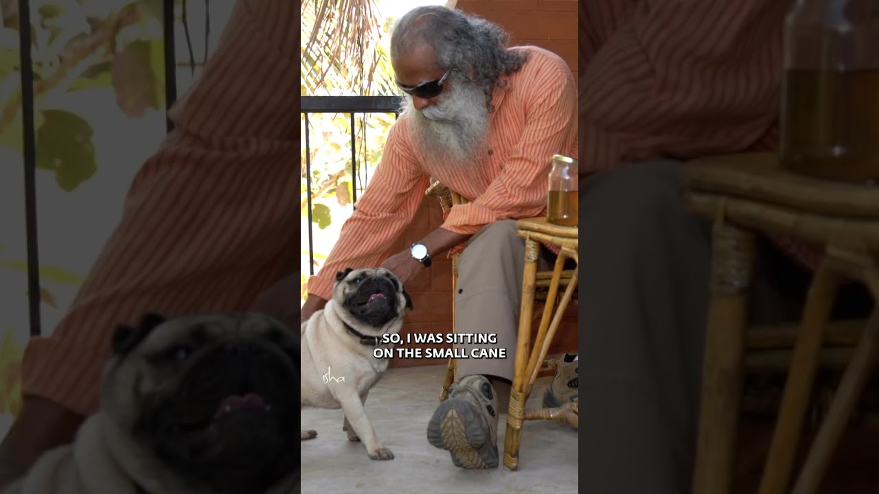 Untold Story of Sadhguru and His Dogs