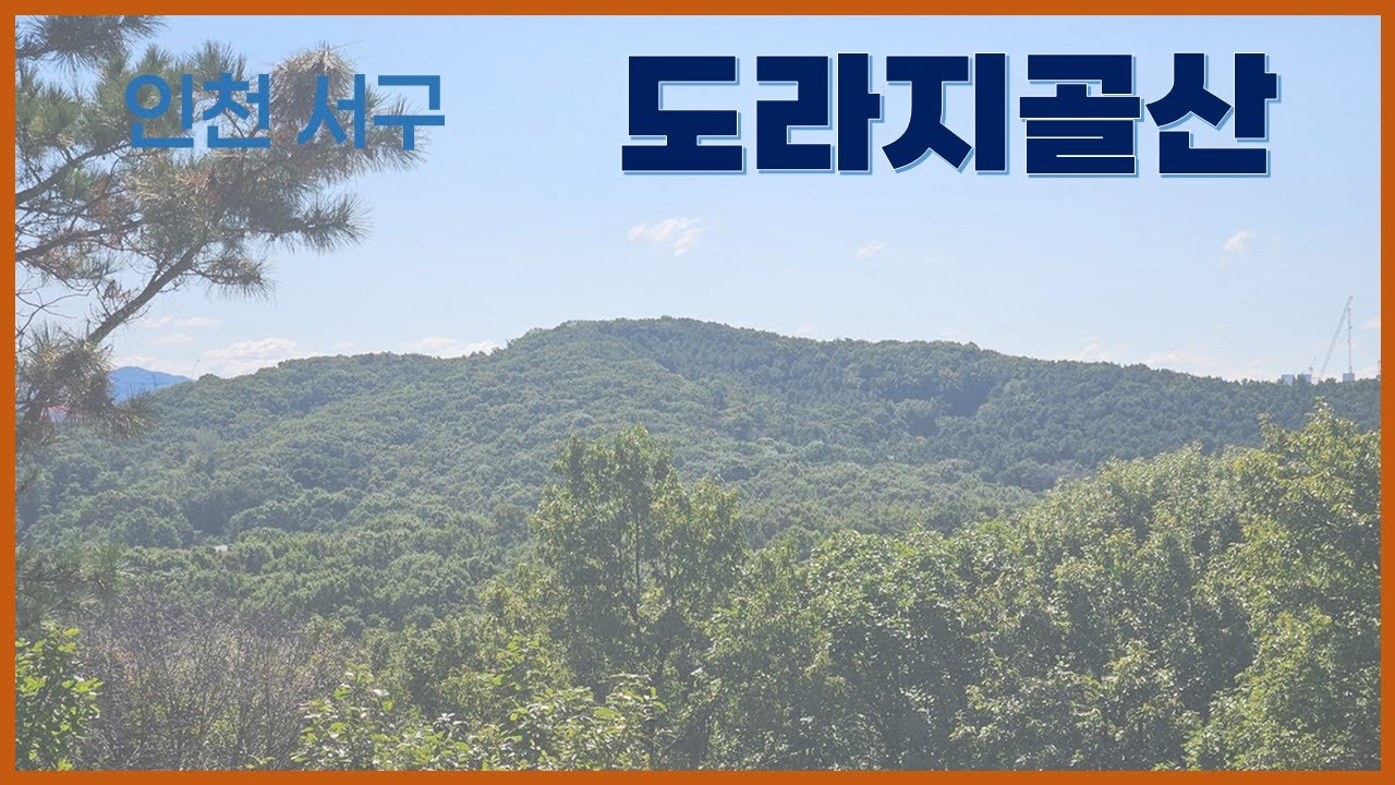 도라지골산