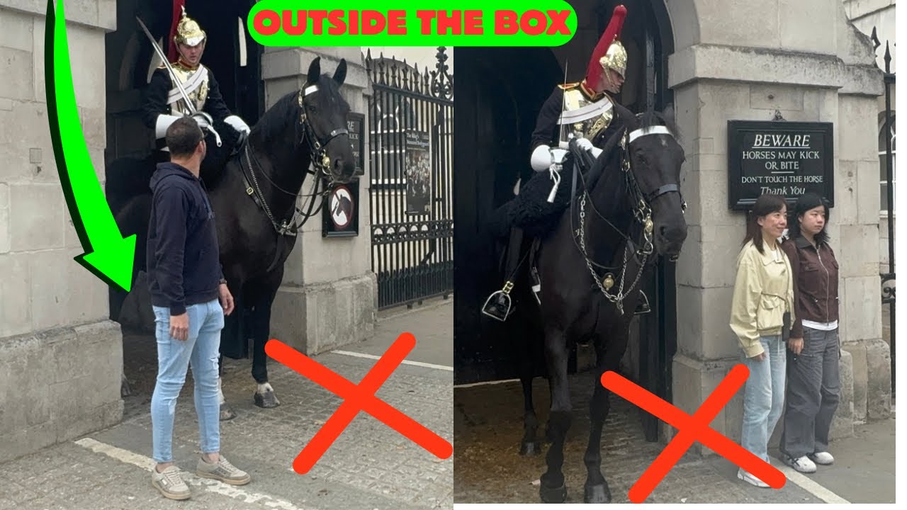 DISRESPECTFUL tourists 🤦Guard reminds them: stay out of the White Box!