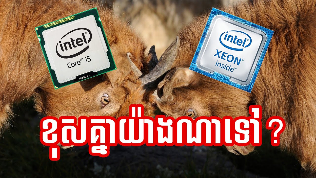 Xeon និង Core Processor ខុសគ្នាយ៉ាងណាខ្លះទៅ?