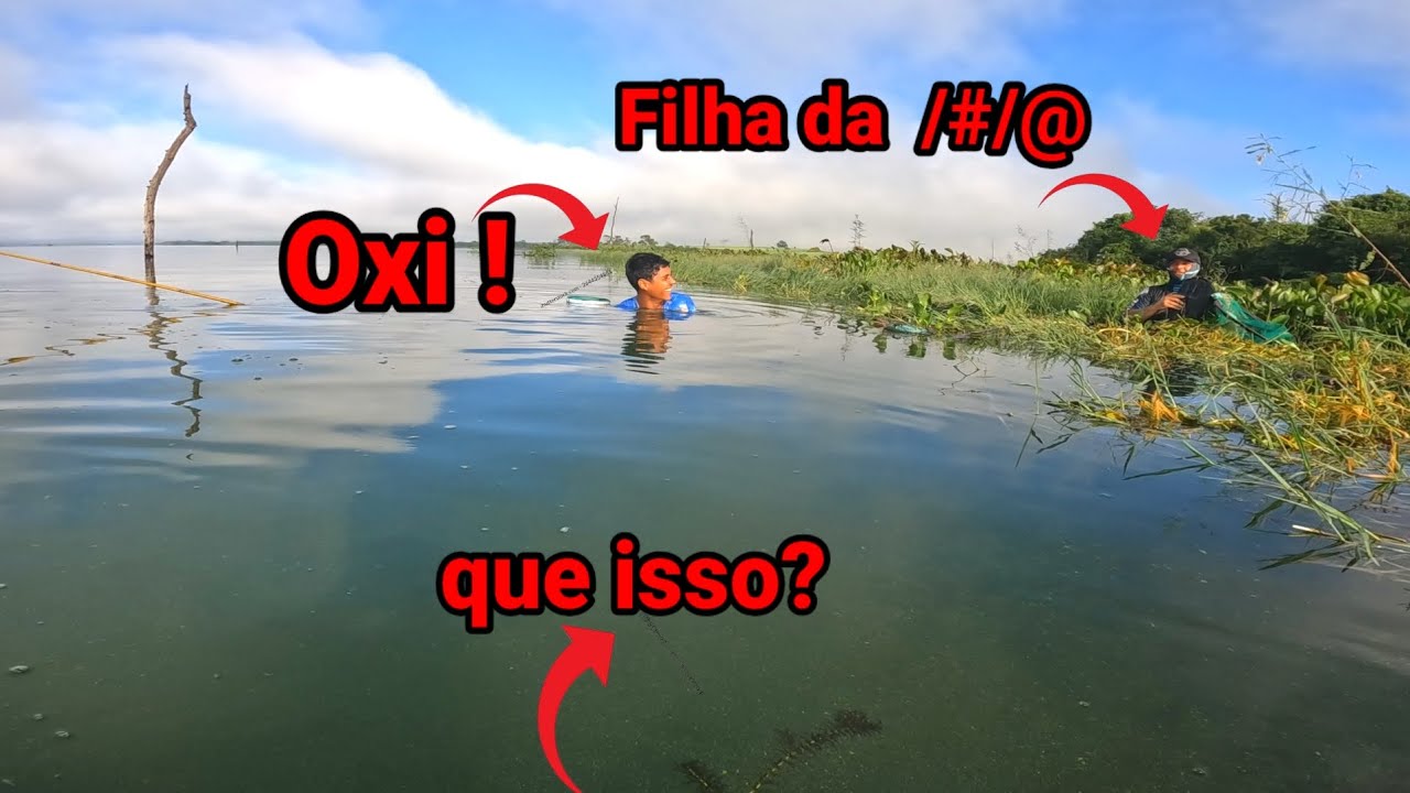 Veio por baixo do guapé, ele soltou o grito, nos ficamos abismado com o que aconteceu.