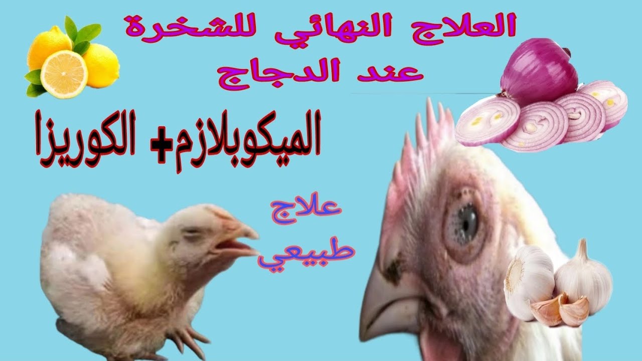علاج ووقاية من مرض الشخرة القاتل😱 قل وداعا لأمراض الجهاز التنفسي بعد هدا الفيديو🤯وطرق الوقاية منه