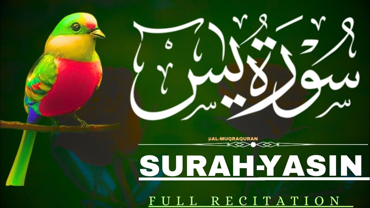 Surah Yaseen | Episode 87 | Beautiful & Heart Touching Quran Recitation | Al Muqra Channel
