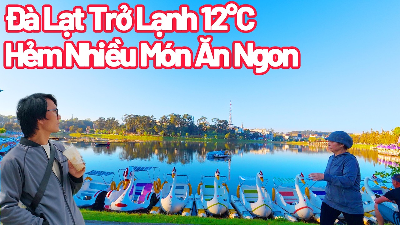 Đà Lạt Trở Lạnh, Hẻm Nhỏ Nhiều Món Ăn Ngon Mỳ Quảng, Bún Bò