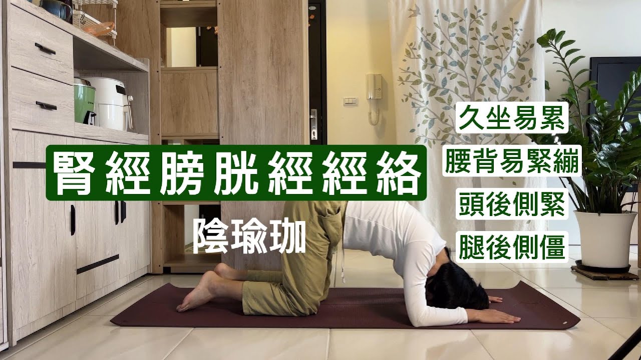 *腎經膀胱經經絡陰瑜珈* 久坐易累 | 腰背易緊繃 | 頭後側緊 | 腿後側僵 | Meridian Yin Yoga | 靜靜瑜光xJulie洙力