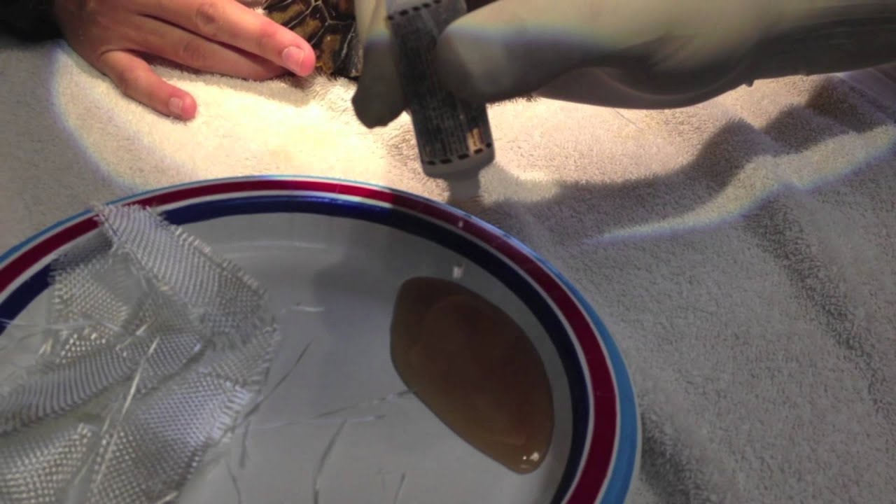 Animal Life 11 - Turtle Shell Repair