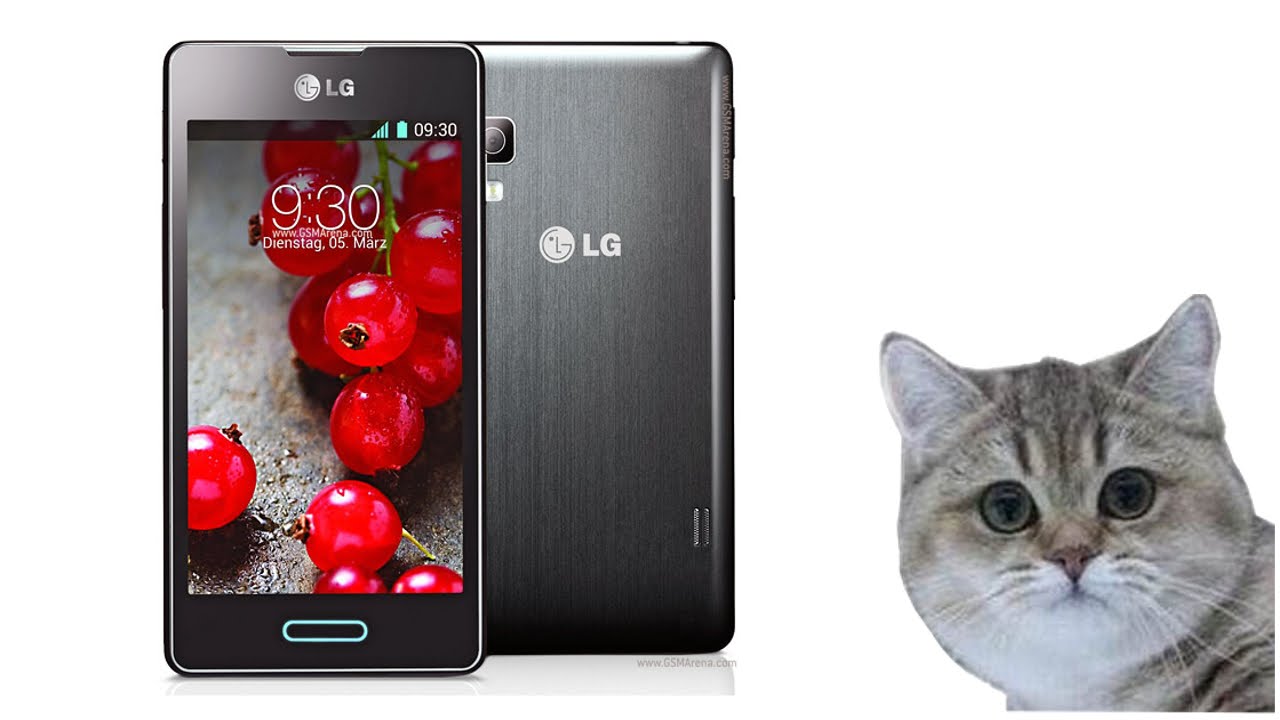 LG Optimus L5 II - co w pudełku piszczy? #1