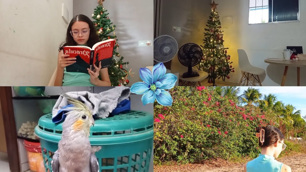 UM POUCO DA MINHA TARDE NO NATAL! 