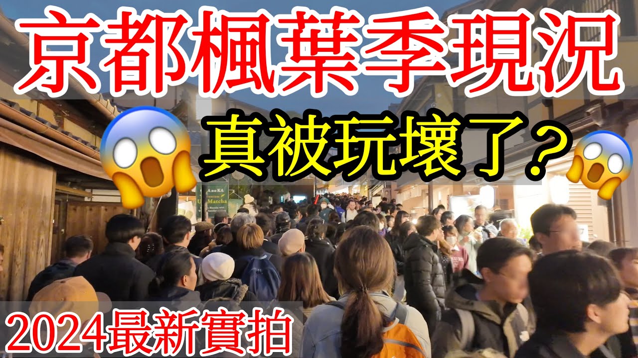 【日本旅遊】京都楓葉季真的被玩壞了嗎？😱2024年京都紅葉季實拍・日本京都秋天賞楓自由行・嵐山・清水寺・京都景點・京都現況・京都旅遊・日本自由行・真如堂・南禪寺・二尊院・京都旅遊攻略・日本獨旅京都獨旅