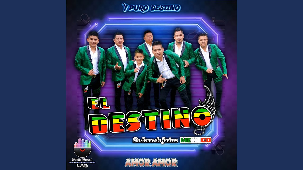 Amor Amor