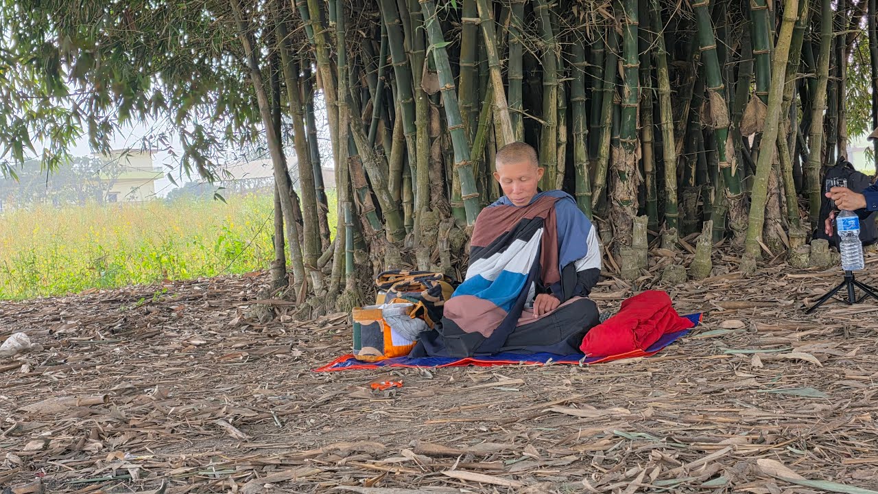 31/1 Đồng thành cùng sư khổ Minh đến Thành cổ  ca Tỳ la Vệ .