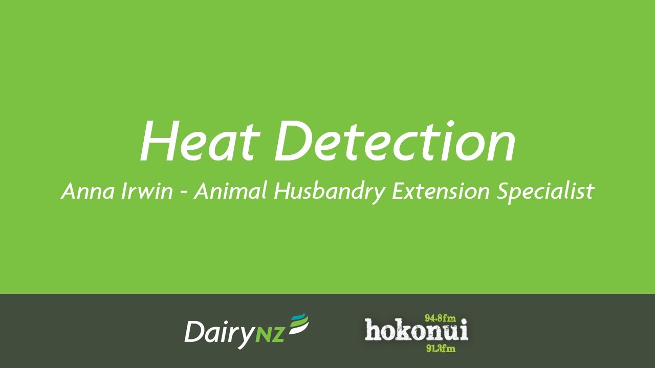 Heat Detection - Anna Irwin, DairyNZ