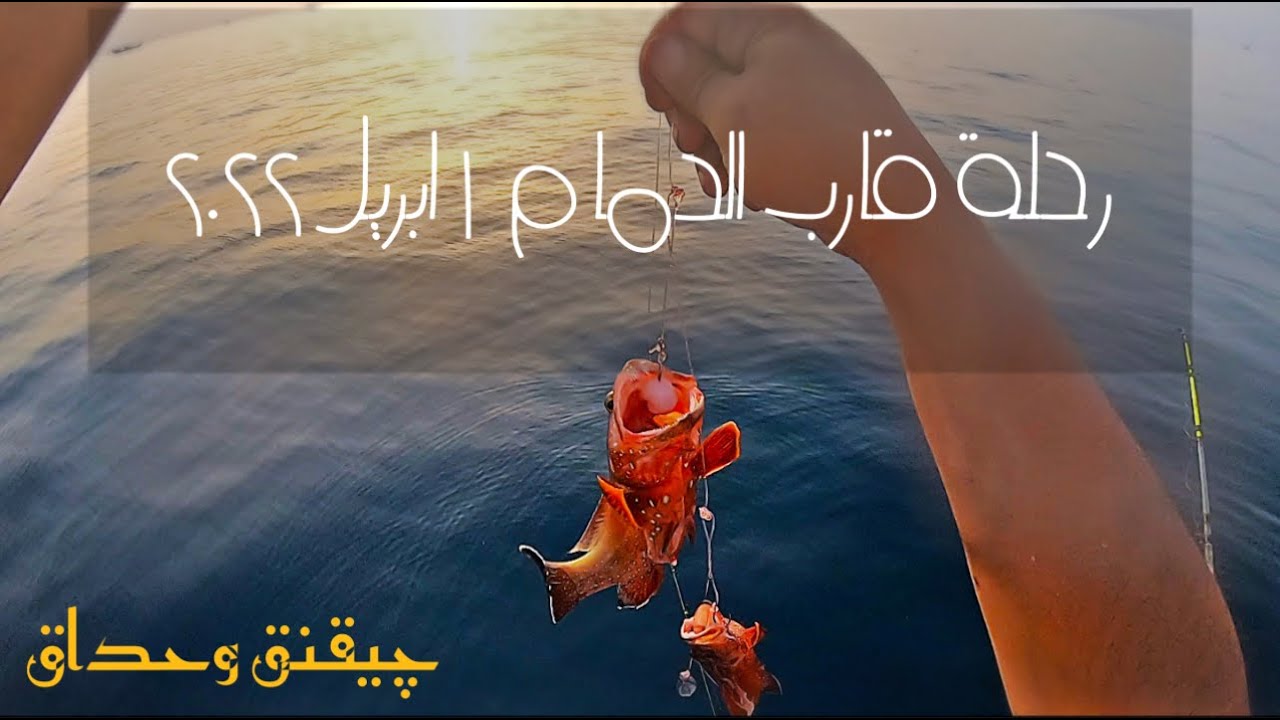 ٣٠ دقيقه من المتعة مع رحلة صيد قارب بالدمام واجواء ممتازة