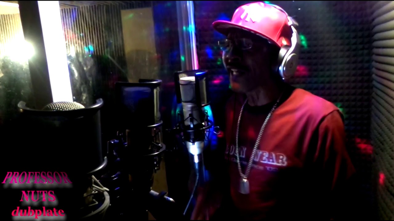 PROFESSOR NUTS dubplate @ dainjamentalz u$a 4