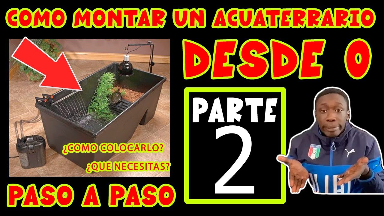 GÚIA PARA PRINCIPIANTES, COMO MONTAR UN ACUATERRARIO PARTE 2