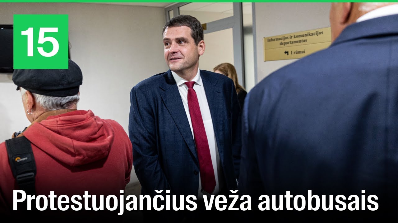 Remigijus Žemaitaitis: opozicija organizuoja &scaron;iuos protestus