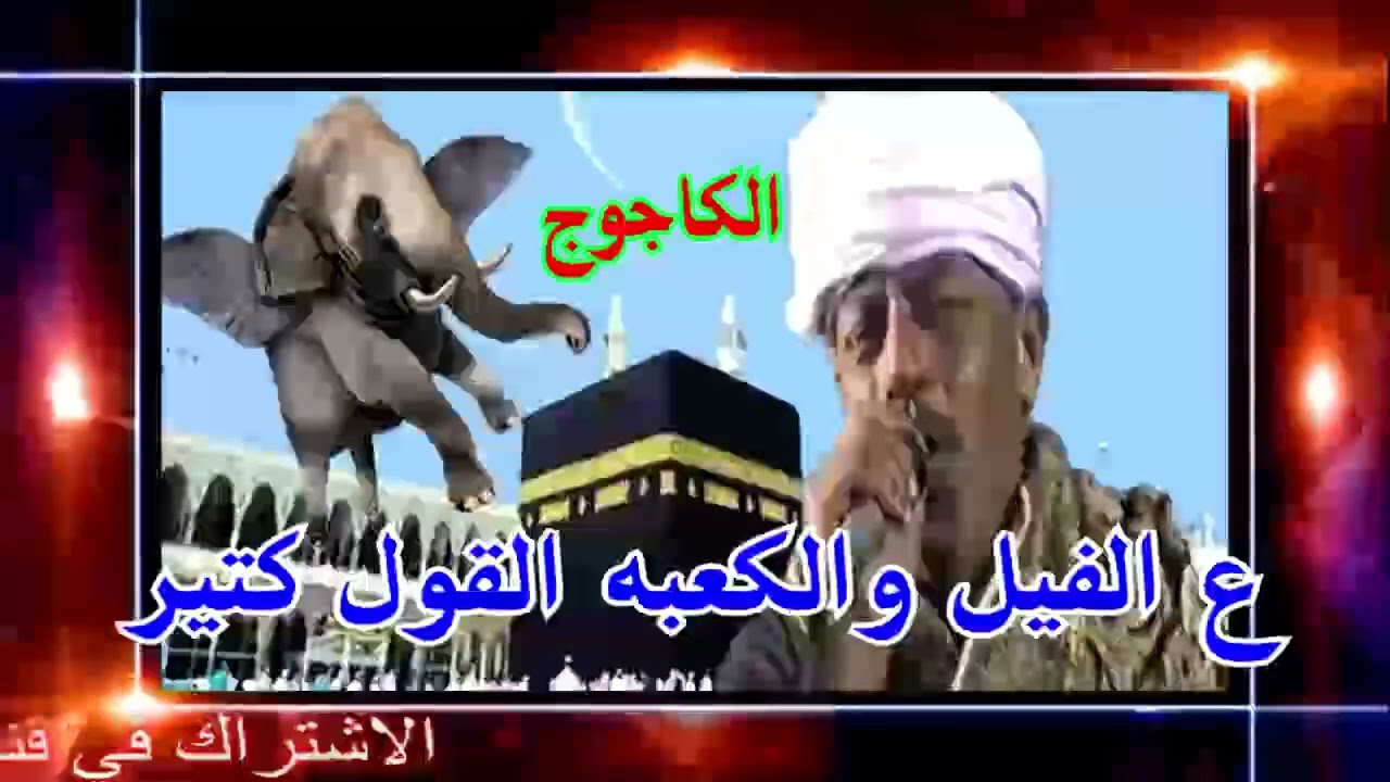 ملك الفن : رشاد عبدالعال || ع الفيل والكعبه القول كتير ( حفله الكاجوج )